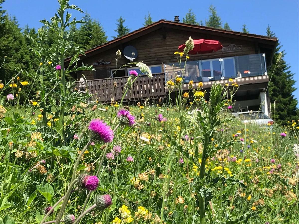 Chalet Casa Cresta - Of Lenzerheide